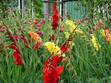 Ilustracja do pytania 36