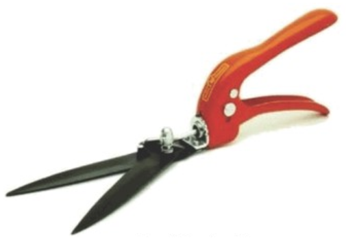 Ilustracja do pytania 20