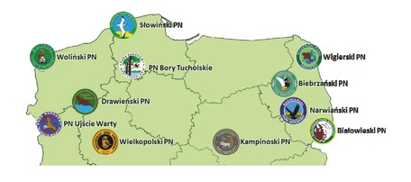 Ilustracja do pytania 1