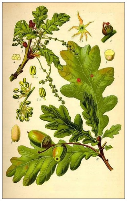 Ilustracja do pytania 20