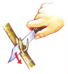 Ilustracja do pytania 26