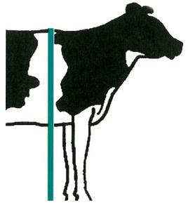 Ilustracja do pytania 14