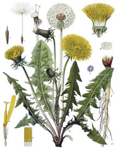 Ilustracja do pytania 6