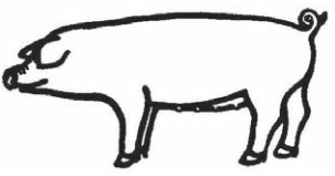 Ilustracja do pytania 18