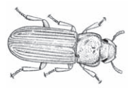 Ilustracja do pytania 22