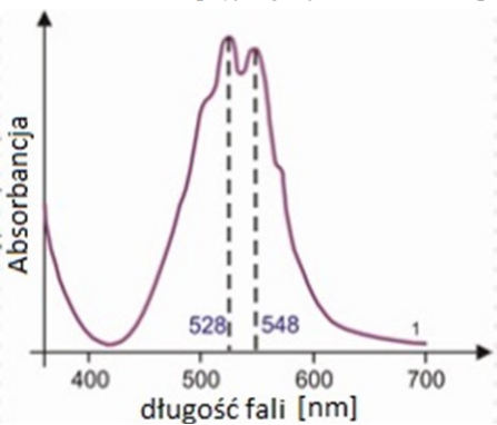 Ilustracja do pytania 11