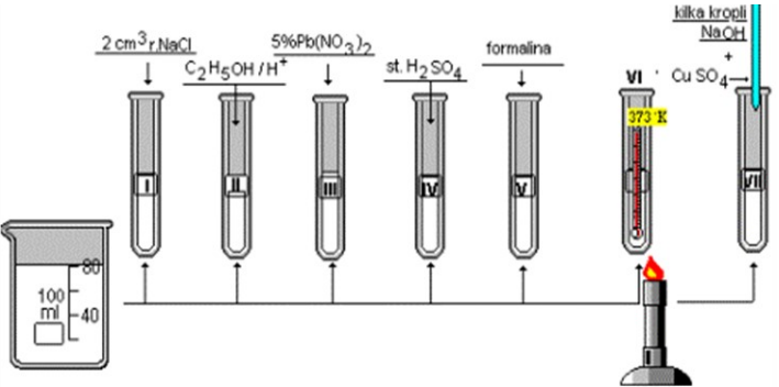 Ilustracja do pytania 23