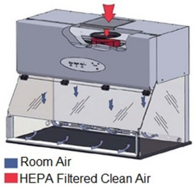 Ilustracja do pytania 20