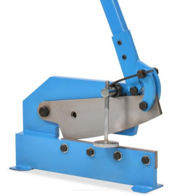 Ilustracja do pytania 35