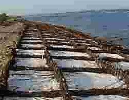 Ilustracja do odpowiedzi C