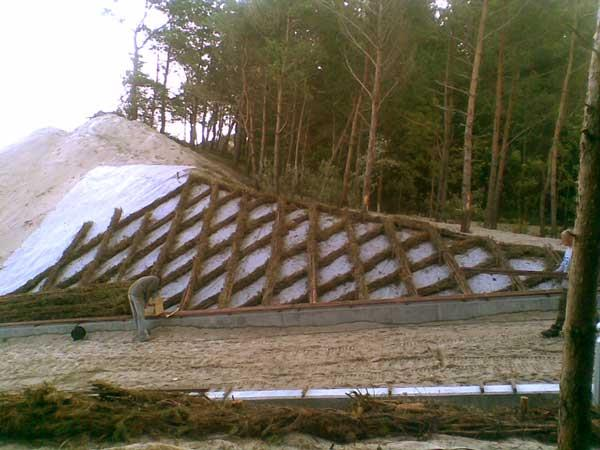 Ilustracja do odpowiedzi B