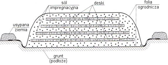 Ilustracja do pytania 6
