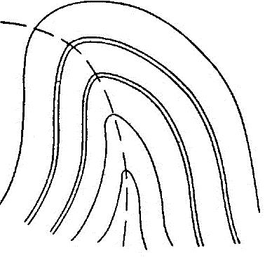 Ilustracja do pytania 28