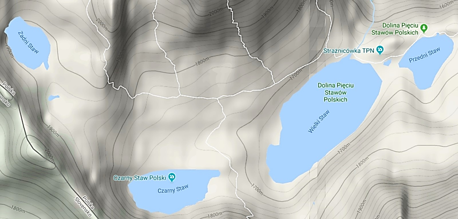 Ilustracja do pytania 37