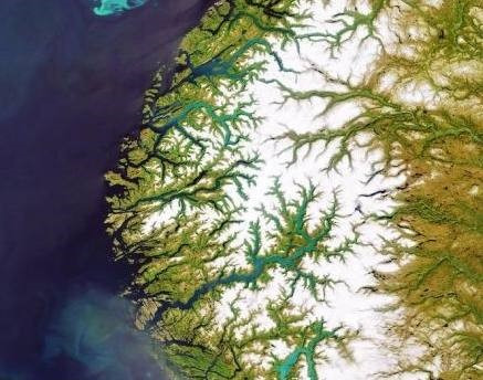 Ilustracja do pytania 20