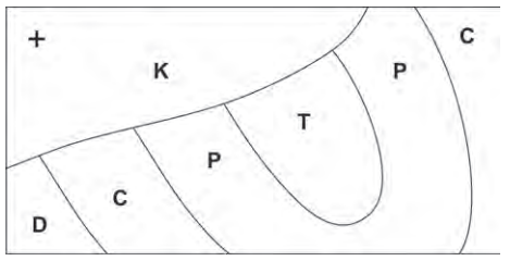 Ilustracja do pytania 15