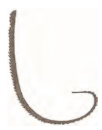 Ilustracja do odpowiedzi A