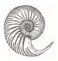 Ilustracja do odpowiedzi C