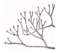 Ilustracja do odpowiedzi B