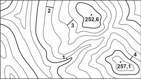 Ilustracja do pytania 24