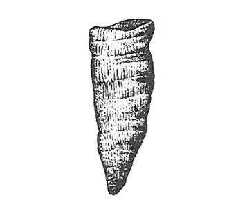 Ilustracja do odpowiedzi A