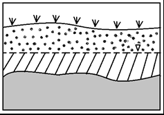 Ilustracja do pytania 25