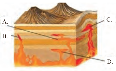 Ilustracja do pytania 6