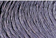 Ilustracja do odpowiedzi A