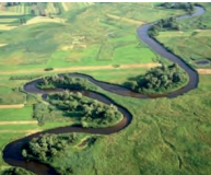 Ilustracja do odpowiedzi D