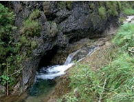 Ilustracja do odpowiedzi C