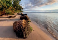 Ilustracja do odpowiedzi A