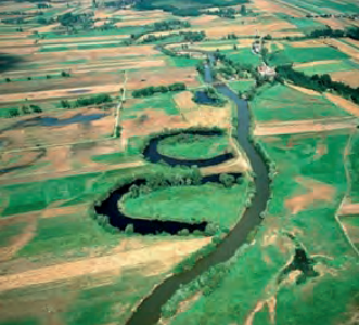 Ilustracja do pytania 8