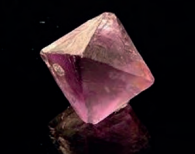 Ilustracja do odpowiedzi D