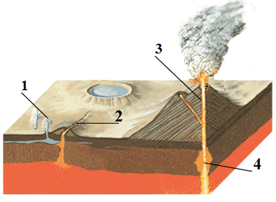 Ilustracja do pytania 20