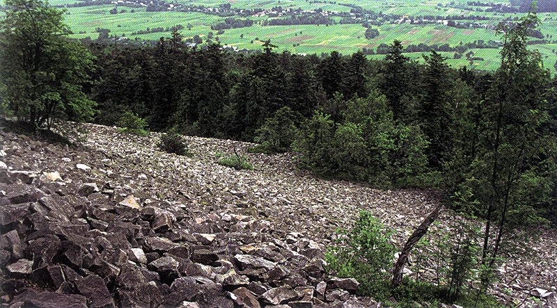 Ilustracja do pytania 27