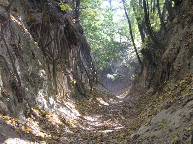 Ilustracja do pytania 8