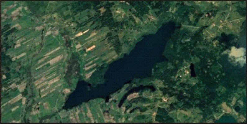 Ilustracja do pytania 35