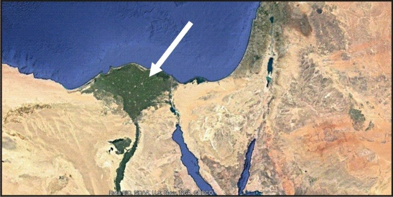 Ilustracja do pytania 31