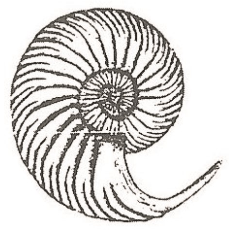 Ilustracja do odpowiedzi C