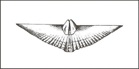 Ilustracja do pytania 40