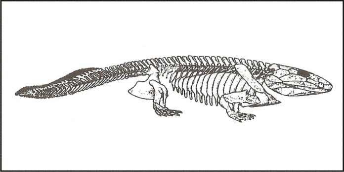 Ilustracja do pytania 4