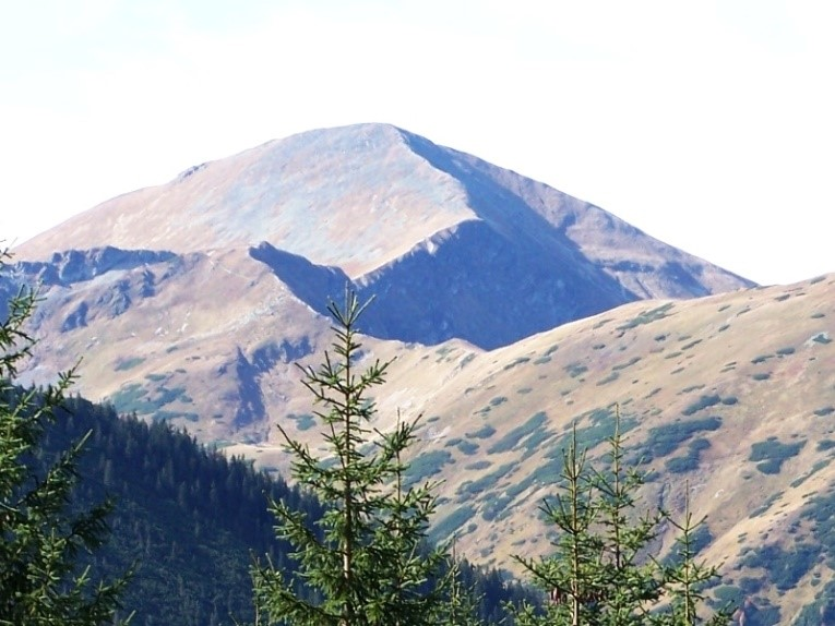 Ilustracja do pytania 38