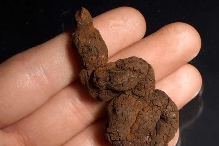 Ilustracja do pytania 16