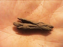 Ilustracja do pytania 1