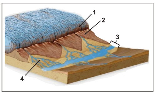 Ilustracja do pytania 13