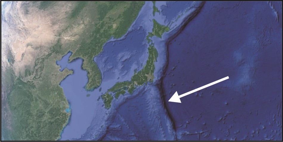 Ilustracja do pytania 39