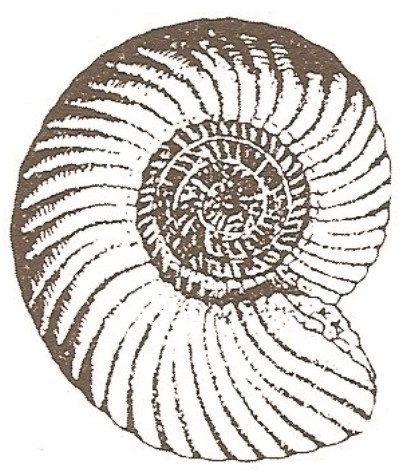 Ilustracja do odpowiedzi B