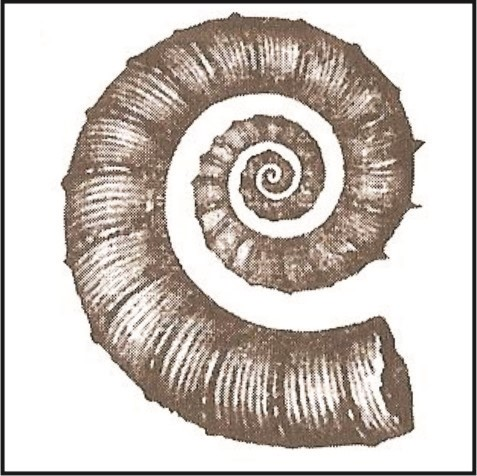 Ilustracja do pytania 39