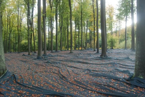 Ilustracja do pytania 39