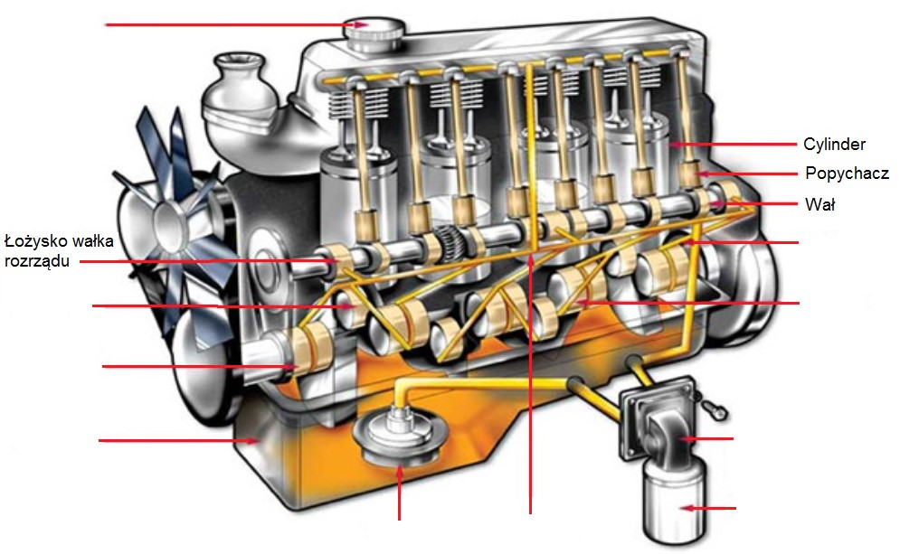 Ilustracja do pytania 6